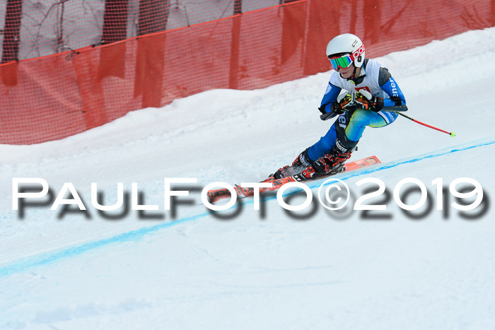 5. BZB CUP RS, + Werdenfelser Meisterschaft + U18, 10.02.2019