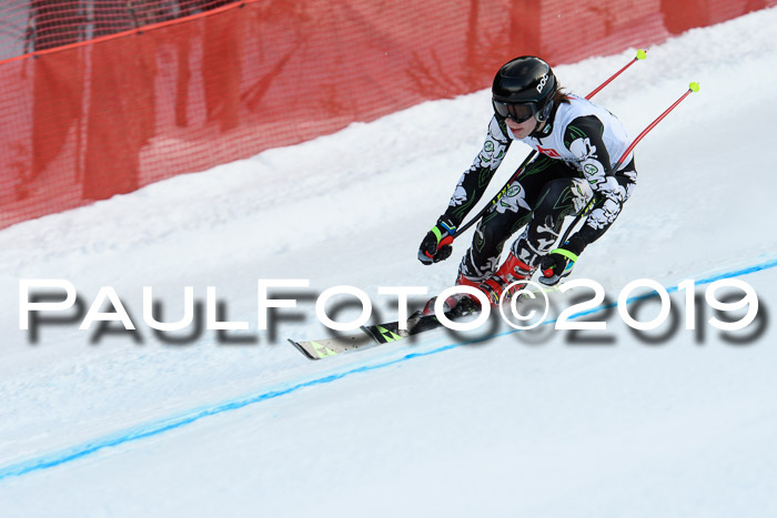 5. BZB CUP RS, + Werdenfelser Meisterschaft + U18, 10.02.2019