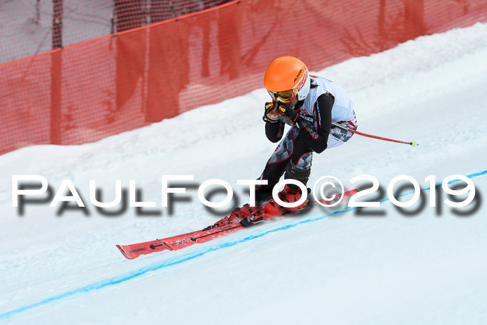 5. BZB CUP RS, + Werdenfelser Meisterschaft + U18, 10.02.2019