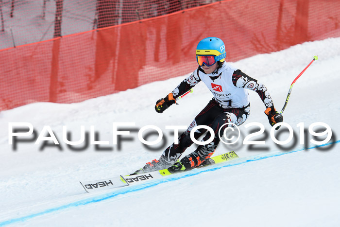 5. BZB CUP RS, + Werdenfelser Meisterschaft + U18, 10.02.2019