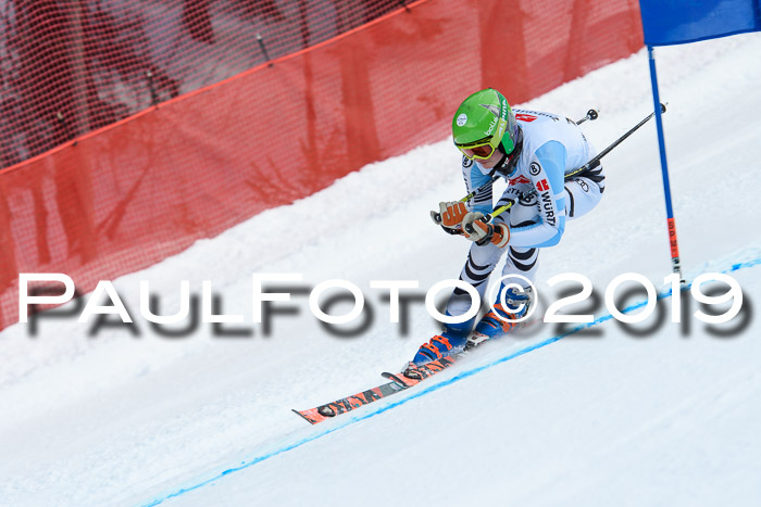 5. BZB CUP RS, + Werdenfelser Meisterschaft + U18, 10.02.2019