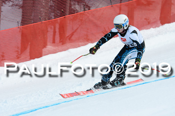 5. BZB CUP RS, + Werdenfelser Meisterschaft + U18, 10.02.2019