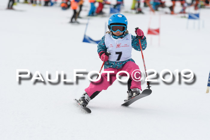 Schongauer Zwergerlrennen 2019