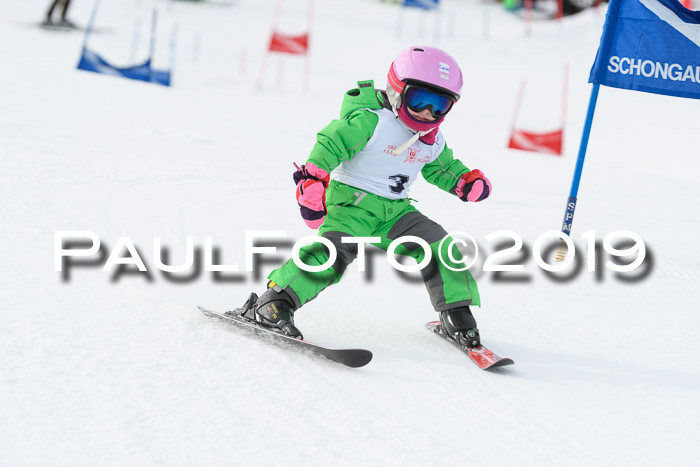 Schongauer Zwergerlrennen 2019