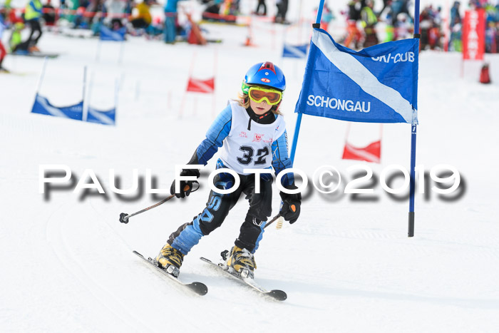 Schongauer Zwergerlrennen 2019