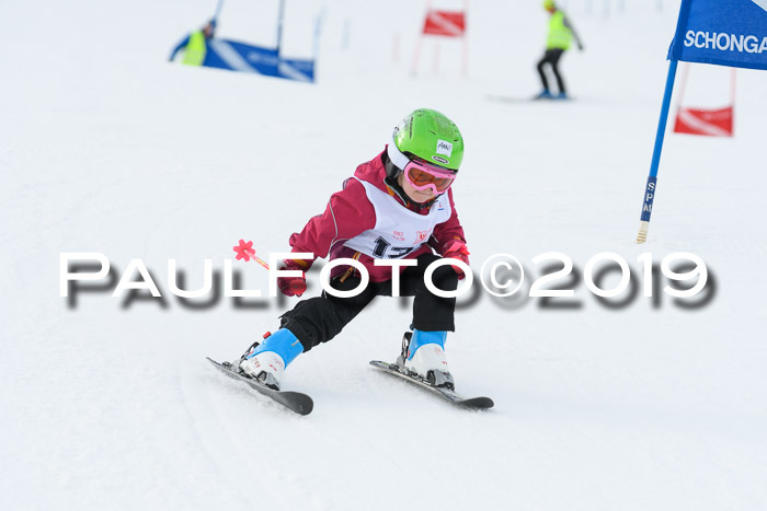 Schongauer Zwergerlrennen 2019