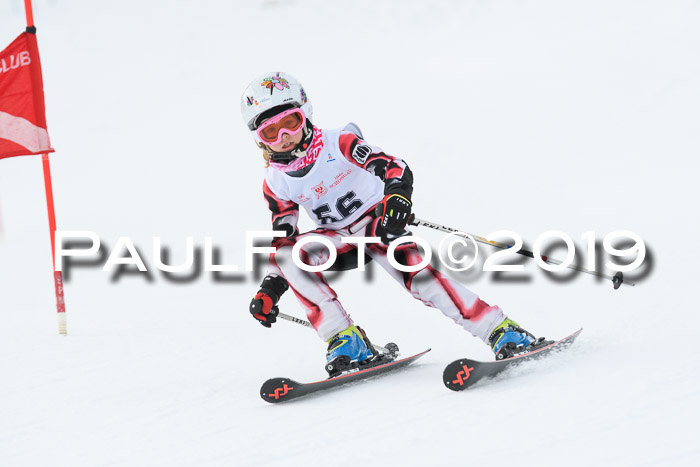 Schongauer Zwergerlrennen 2019