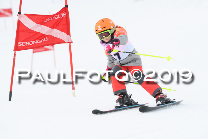 Schongauer Zwergerlrennen 2019