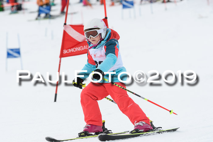 Schongauer Zwergerlrennen 2019