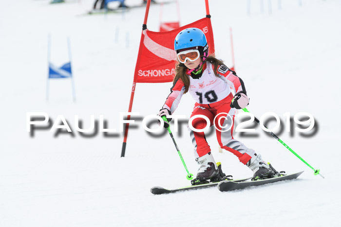 Schongauer Zwergerlrennen 2019