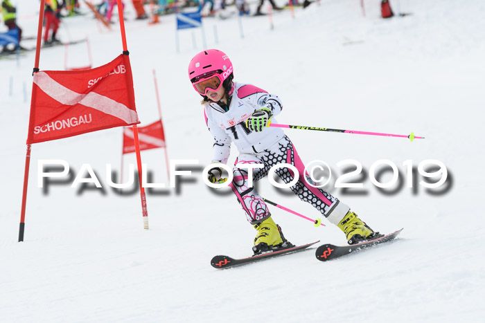Schongauer Zwergerlrennen 2019