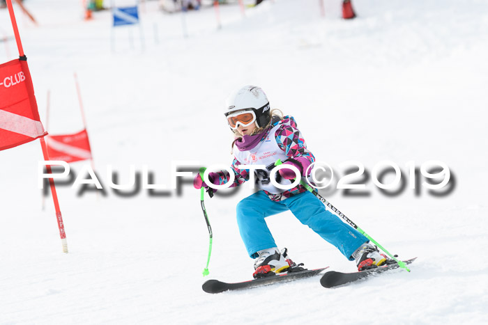 Schongauer Zwergerlrennen 2019