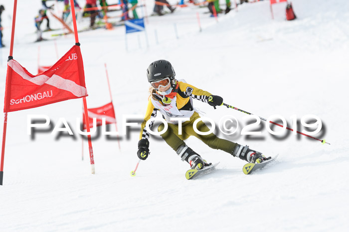 Schongauer Zwergerlrennen 2019