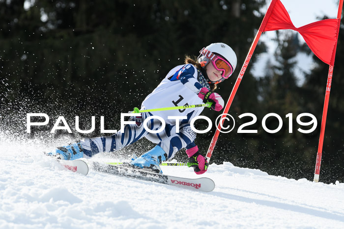 Schongauer Zwergerlrennen 2019