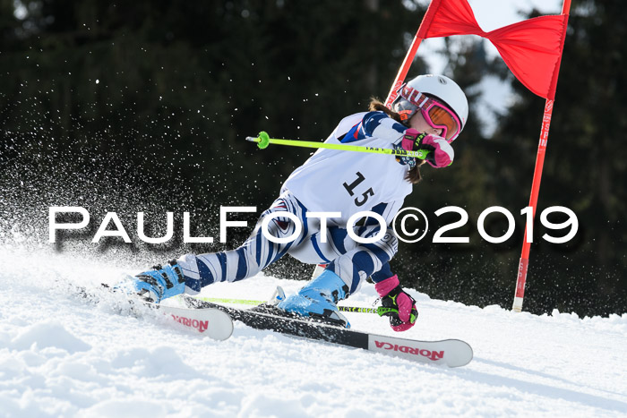 Schongauer Zwergerlrennen 2019