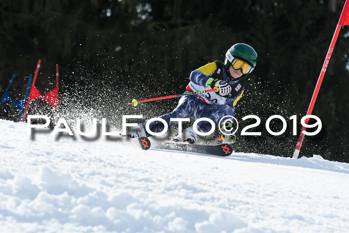 Schongauer Zwergerlrennen 2019