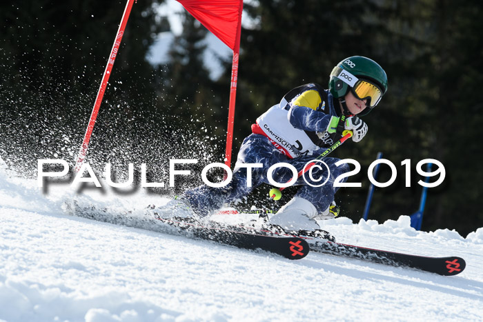 Schongauer Zwergerlrennen 2019
