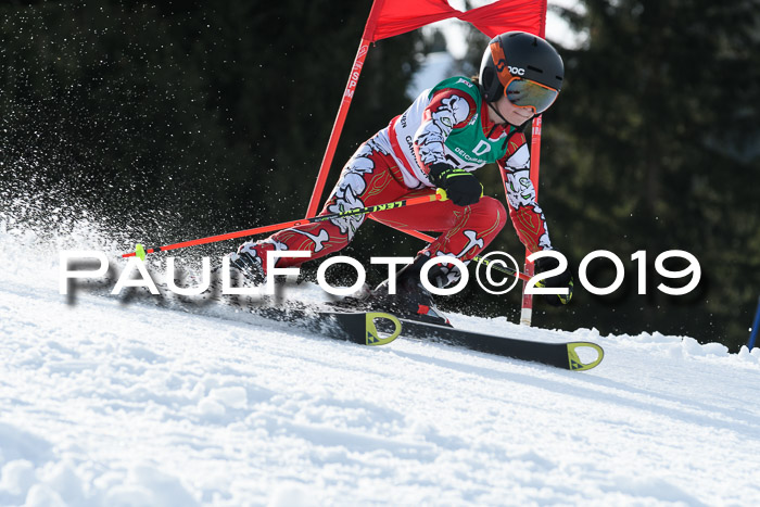Schongauer Zwergerlrennen 2019