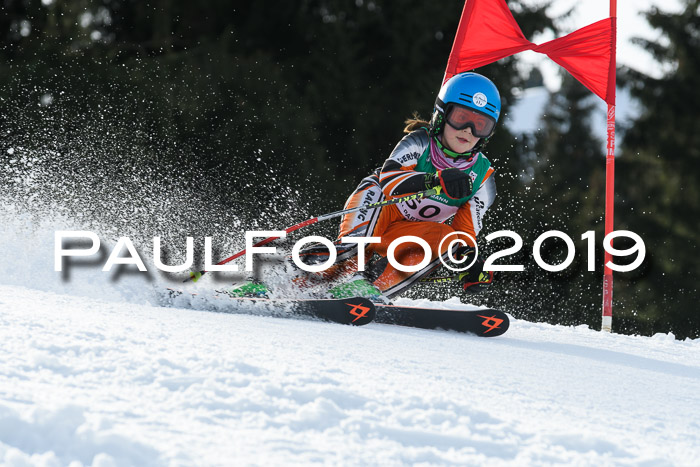 Schongauer Zwergerlrennen 2019