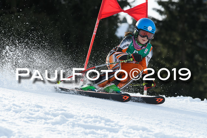 Schongauer Zwergerlrennen 2019