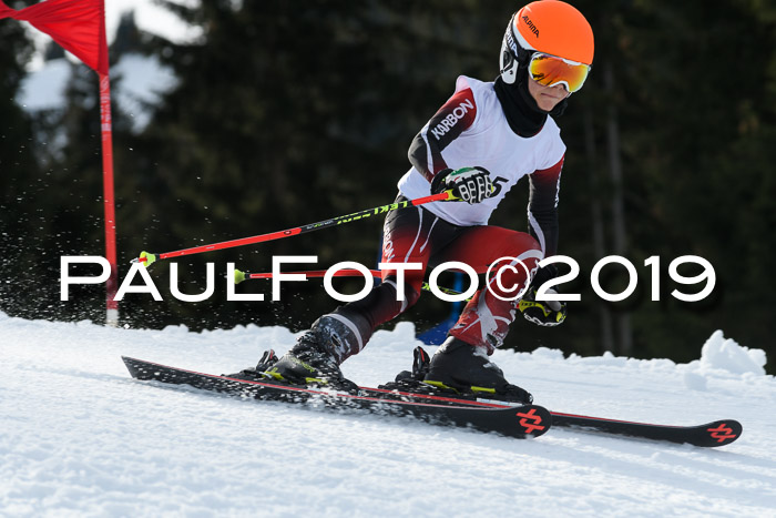 Schongauer Zwergerlrennen 2019