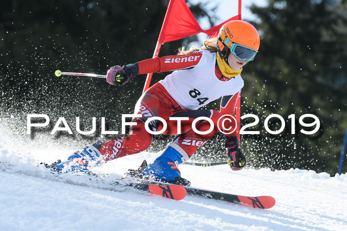 Schongauer Zwergerlrennen 2019