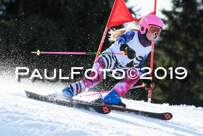 Schongauer Zwergerlrennen 2019