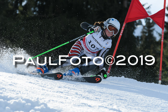 Schongauer Zwergerlrennen 2019
