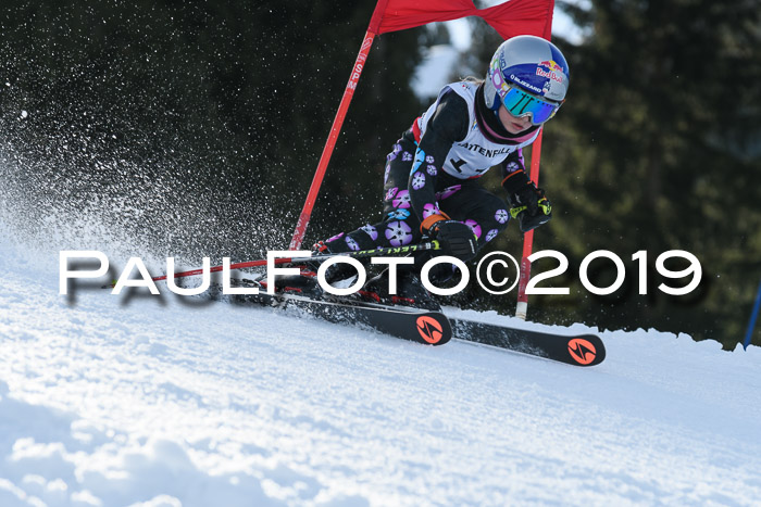 Schongauer Zwergerlrennen 2019