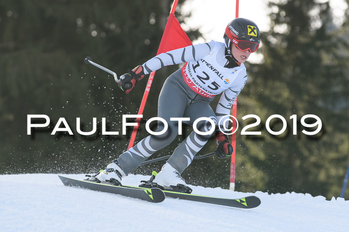 Schongauer Zwergerlrennen 2019