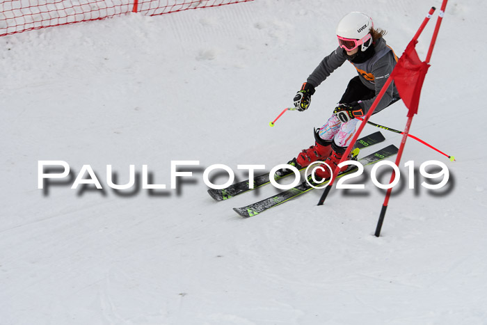 Ziener Kids Cross U12 + 5. Reischmann Cup
