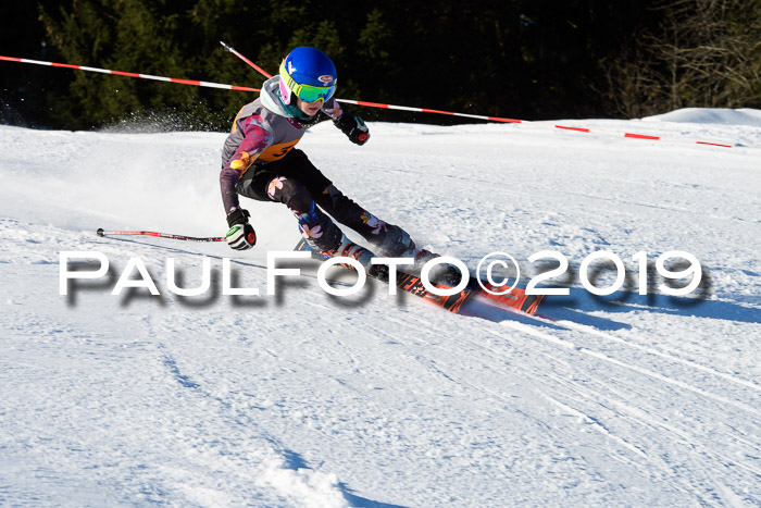 Ziener Kids Cross U12 + 5. Reischmann Cup