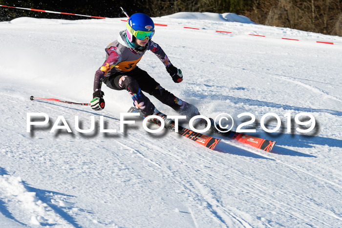 Ziener Kids Cross U12 + 5. Reischmann Cup