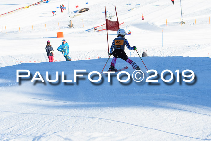 Ziener Kids Cross U12 + 5. Reischmann Cup