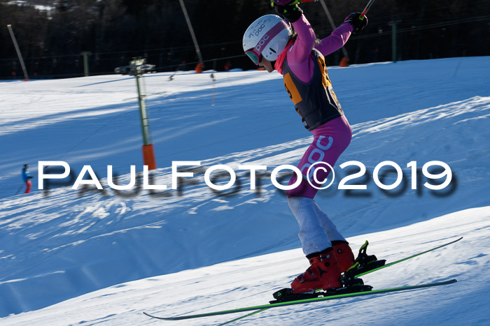 Ziener Kids Cross U12 + 5. Reischmann Cup