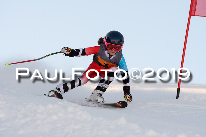 Ziener Kids Cross U12 + 5. Reischmann Cup