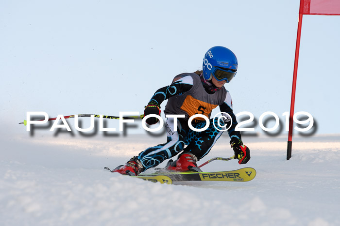Ziener Kids Cross U12 + 5. Reischmann Cup