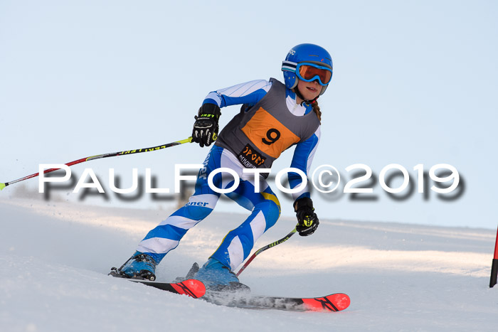 Ziener Kids Cross U12 + 5. Reischmann Cup