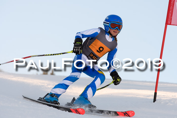 Ziener Kids Cross U12 + 5. Reischmann Cup