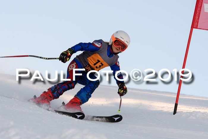 Ziener Kids Cross U12 + 5. Reischmann Cup
