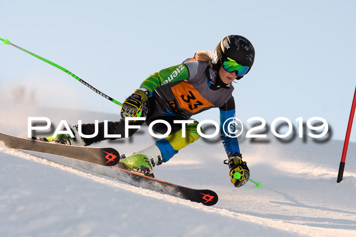 Ziener Kids Cross U12 + 5. Reischmann Cup
