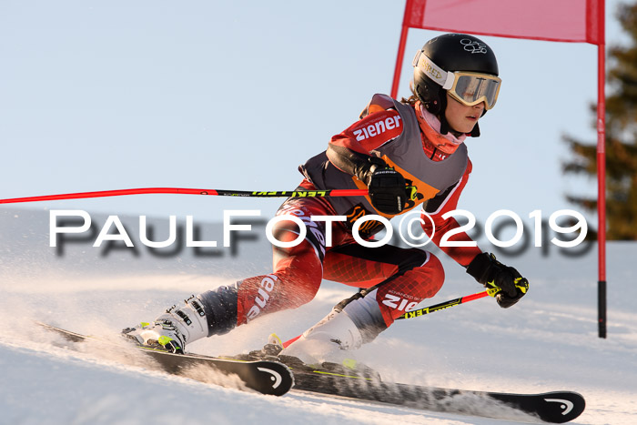 Ziener Kids Cross U12 + 5. Reischmann Cup