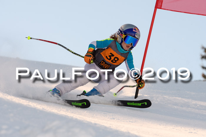 Ziener Kids Cross U12 + 5. Reischmann Cup