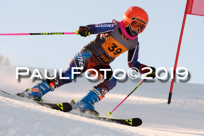 Ziener Kids Cross U12 + 5. Reischmann Cup