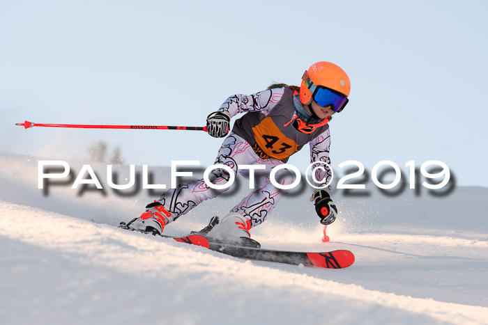 Ziener Kids Cross U12 + 5. Reischmann Cup