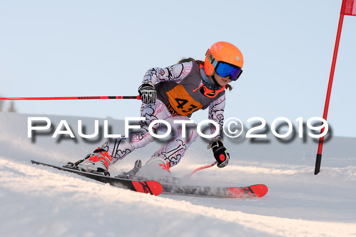 Ziener Kids Cross U12 + 5. Reischmann Cup