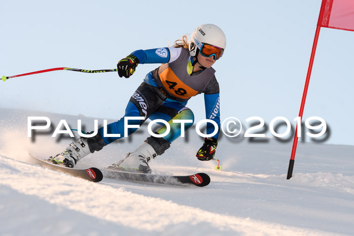 Ziener Kids Cross U12 + 5. Reischmann Cup