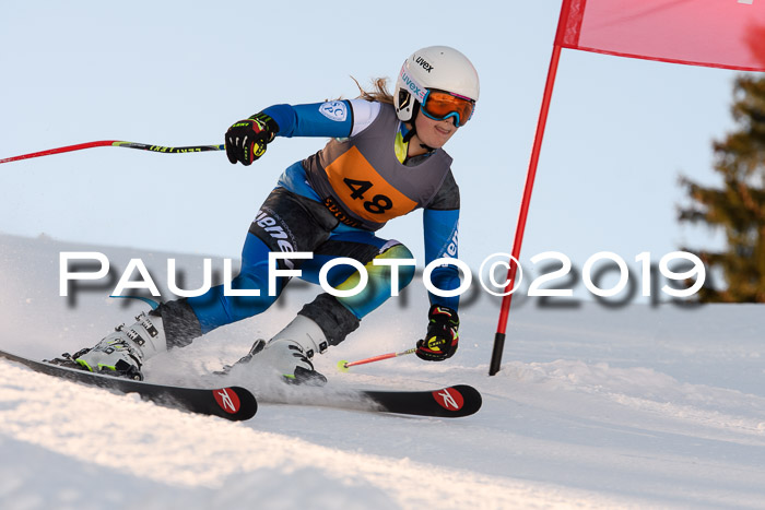 Ziener Kids Cross U12 + 5. Reischmann Cup