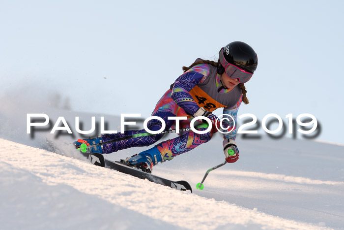 Ziener Kids Cross U12 + 5. Reischmann Cup