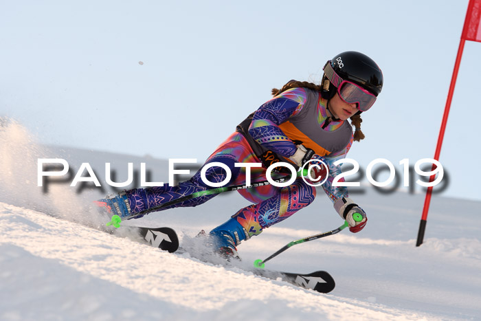 Ziener Kids Cross U12 + 5. Reischmann Cup